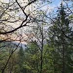Bosco Della Bella 6 By Interhome * Termine