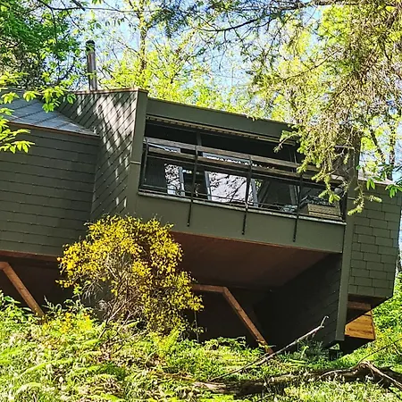 Bosco Della Bella 6 By Interhome Termine
