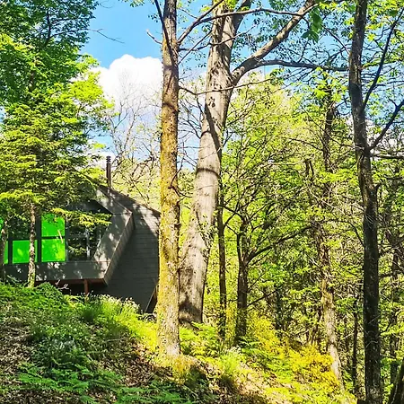 Bosco Della Bella 6 By Interhome Chalet