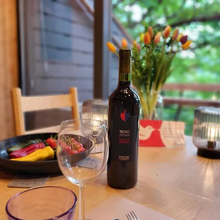 Bosco Della Bella 6 By Interhome Chalet *