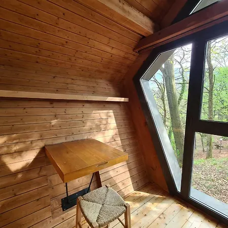 Bosco Della Bella 6 By Interhome Chalet *