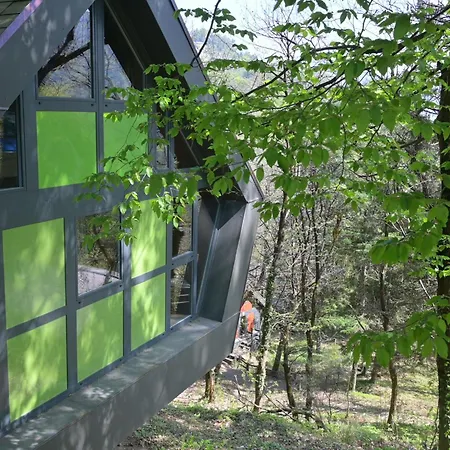 Bosco Della Bella 6 By Interhome
