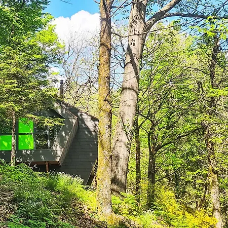 Dağ evi Bosco Della Bella 6 By Interhome Termine