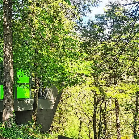 Dağ evi Bosco Della Bella 6 By Interhome Termine