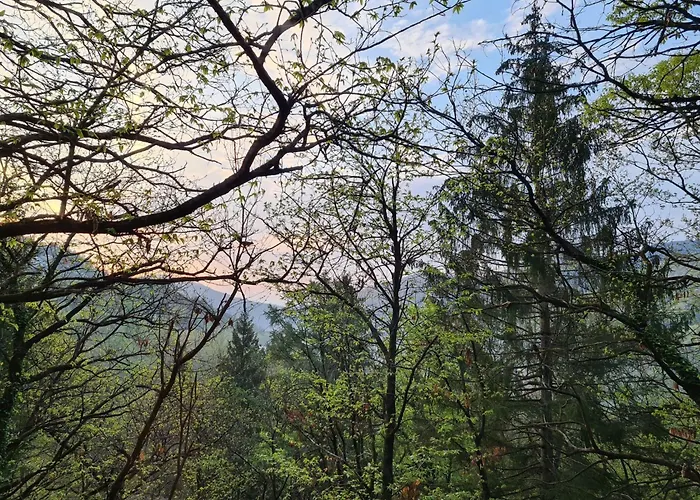 Bosco Della Bella 6 By Interhome * Termine